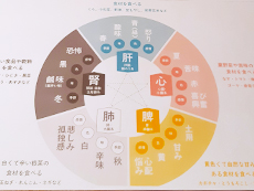 東洋医学の氣の一覧表